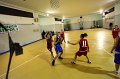 Basket 443082